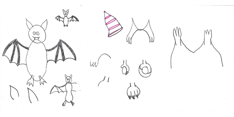 Sketches of a bat