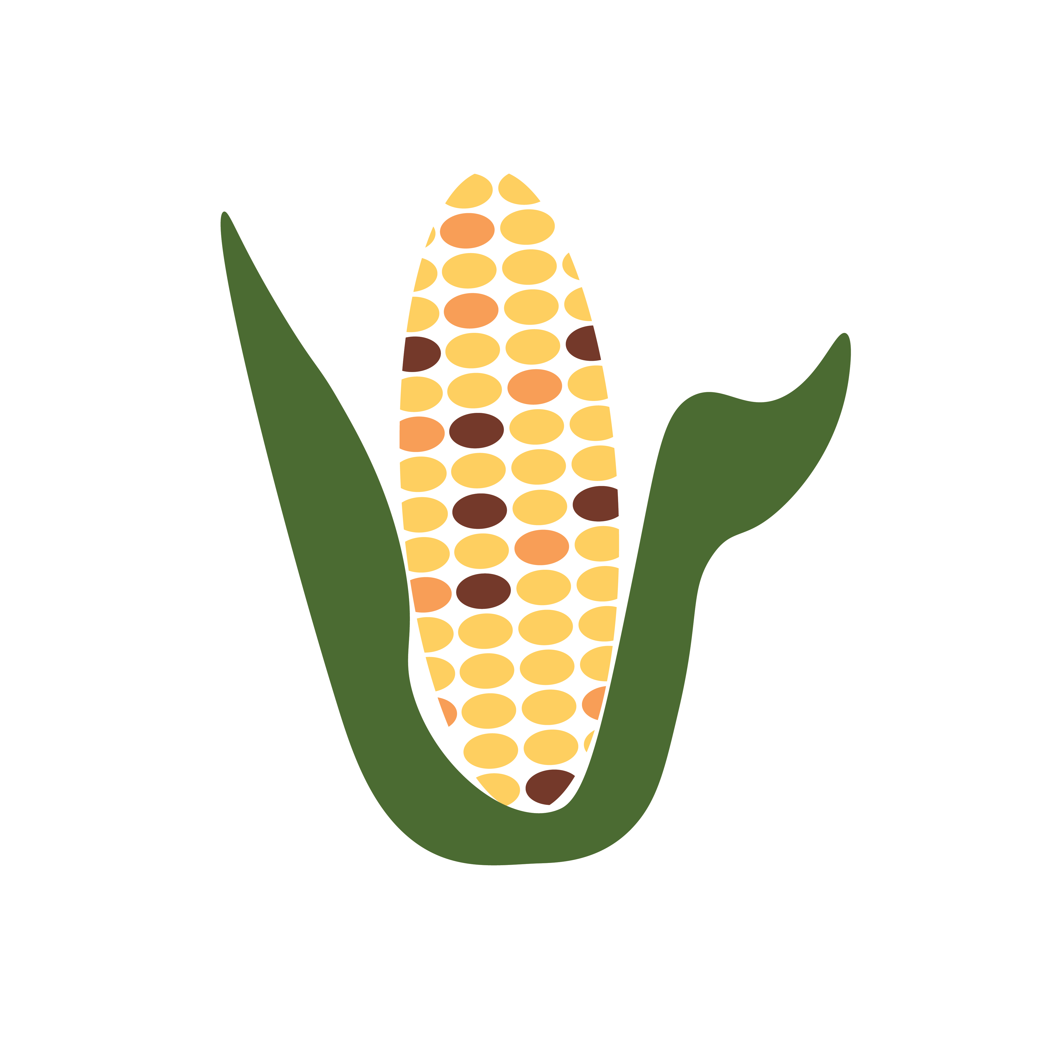 corn illustration.